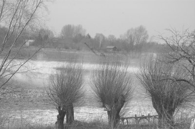 field 2