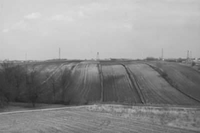 field 3