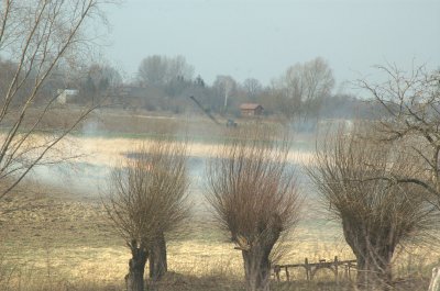 g6/70/516170/3/76035993.Dhd4PrXs.jpg