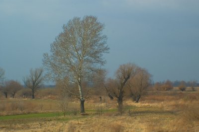 g6/70/516170/3/76572923.UmIlFKu3.jpg