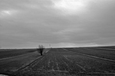 DSC_0208as.jpg