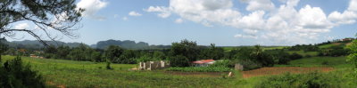 Vinales D