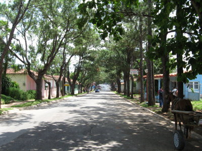 Vinales (100)