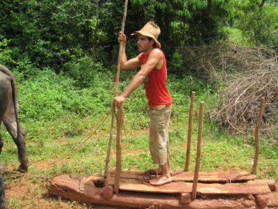 Vinales (50)