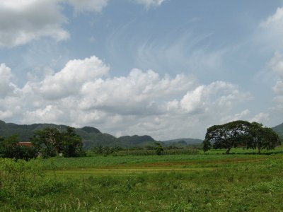 Vinales (54)
