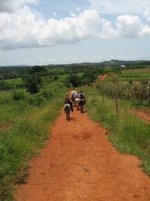 Vinales (66)