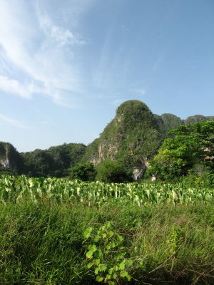 Vinales (8)
