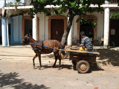 Vinales (84)