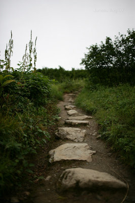 Steps...