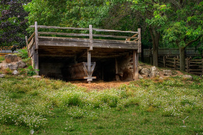 20060807_CRW_8974.jpg