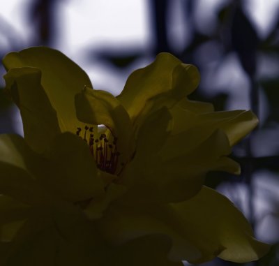 _MG_4520_edited-1.jpg