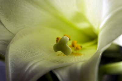 _MG_8341.jpg