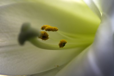 _MG_8362.jpg