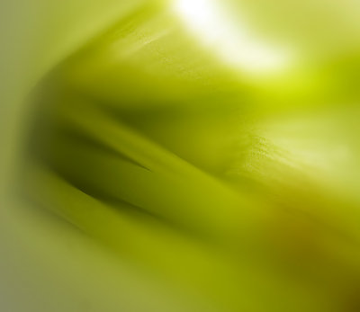 _MG_8394.jpg