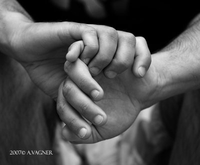 _MG_2565.jpg