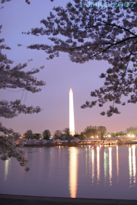 Washington Monument at dawn