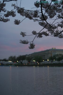 Pink sky over the Bureau of Engraving and Printing
