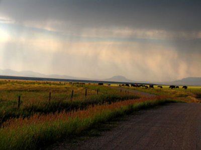 stormyroad2.jpg