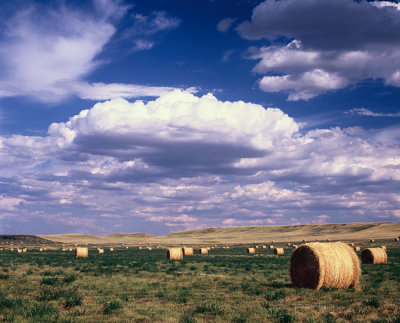 montanahaybales07color67.jpg