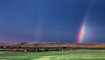 rainbow.jpg