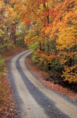 Loudoun County Road
