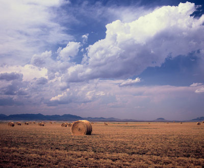 haybalecloud67.jpg