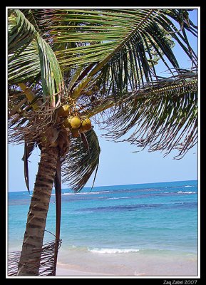 Luquillo Playa