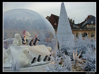 Dijon