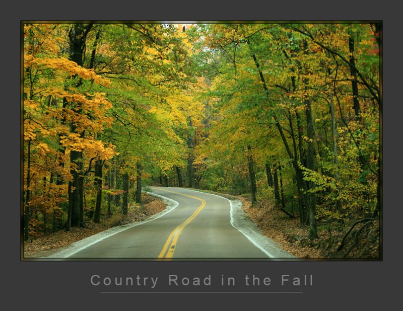 Country Road in the Fall
