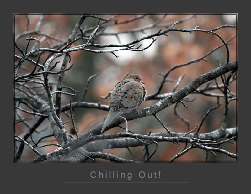 Chilling Out.