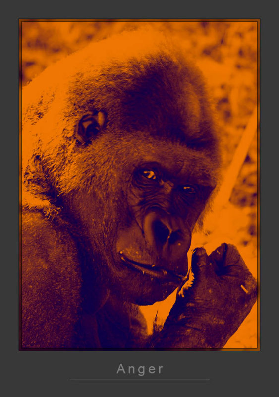 Anger