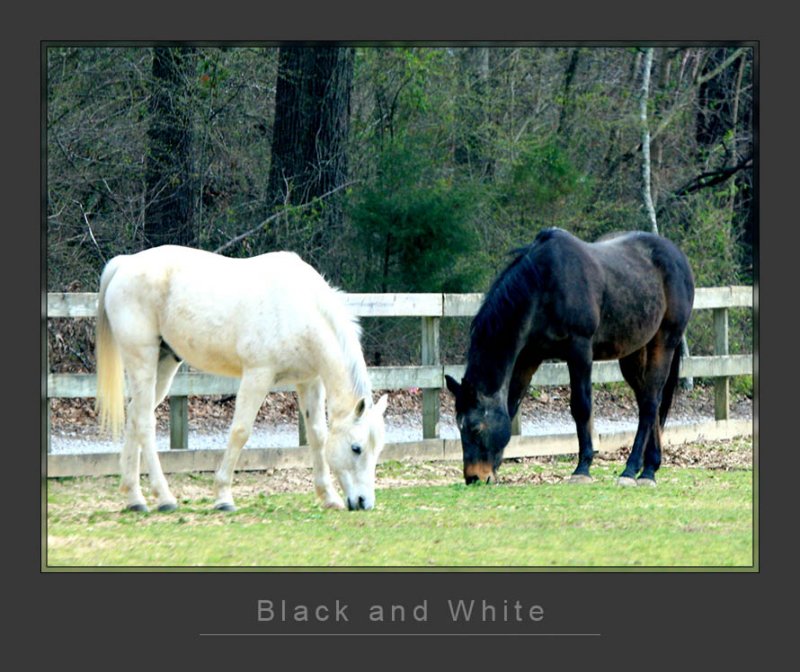 Black and white