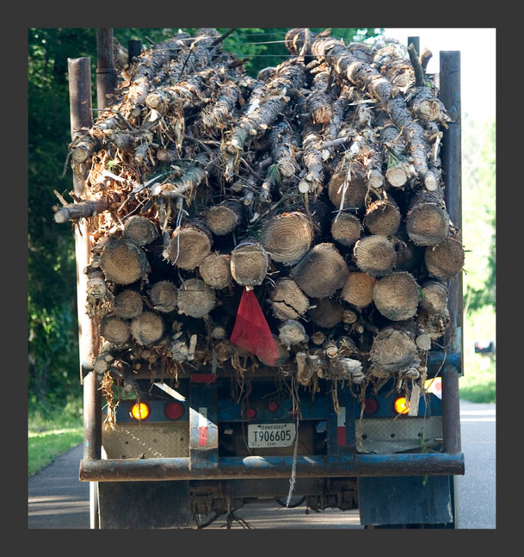 Logger
