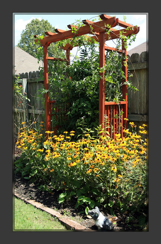 Arbor