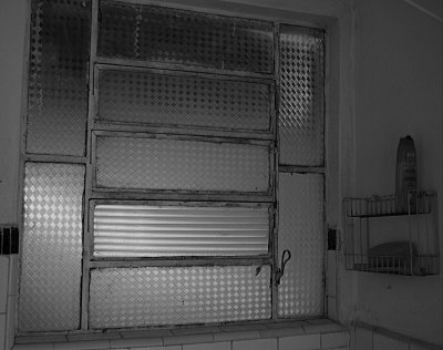 Shower Window I