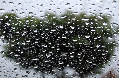windshield I