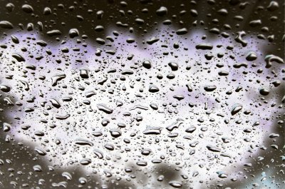 windshield II