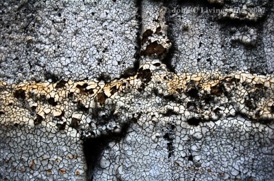 Wall II