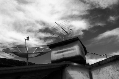 Brazilian Roof