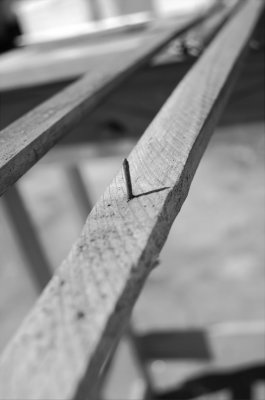 Nail