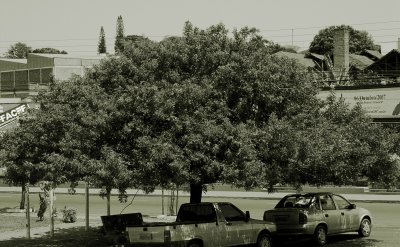 Shadetree