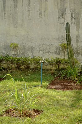 Sprinkler