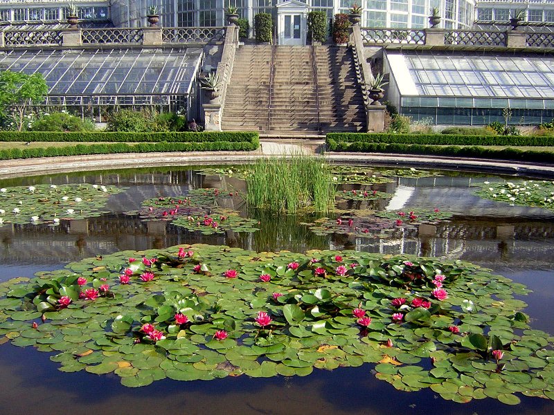 Botanisk Have 1471.JPG