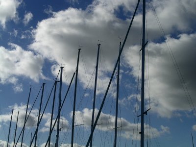 masts in marina