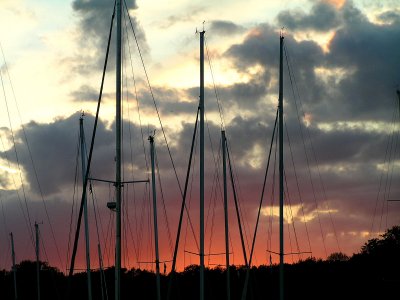 masts in sunset