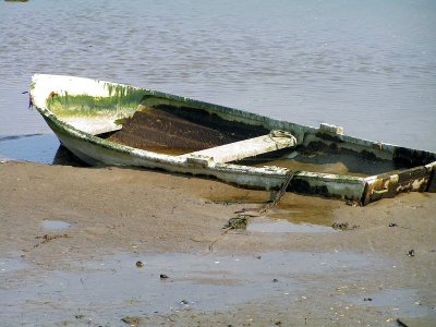 stranded boat
