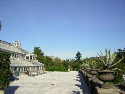 Botanisk Have 1412.JPG