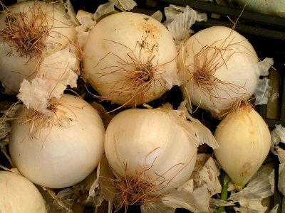 onions.JPG
