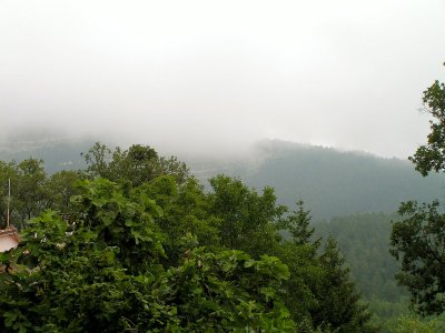 Carpegna nature 1.JPG