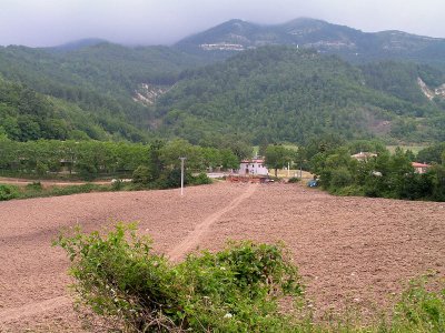 Carpegna nature 2.JPG